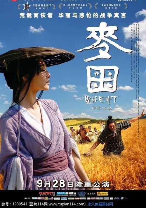 明尼苏达大学硕士毕业证